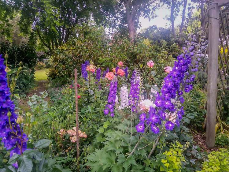 Meehan Place Makikihi_17