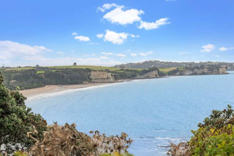 44 Cliff Road Torbay North Shore City Houses for Sale One Roof