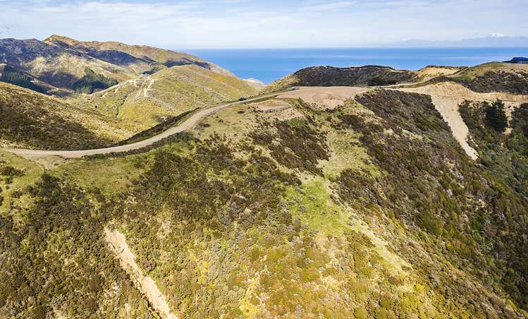 452 Southernthread Road Brooklyn_1