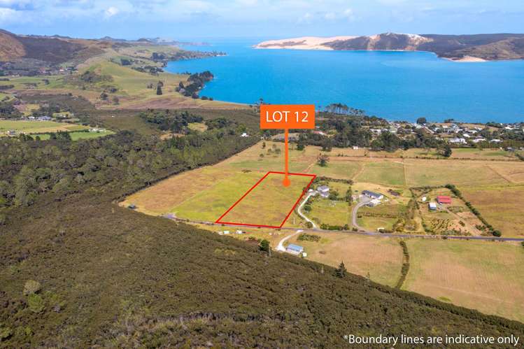 Lot 12 Koutu Terrace_0