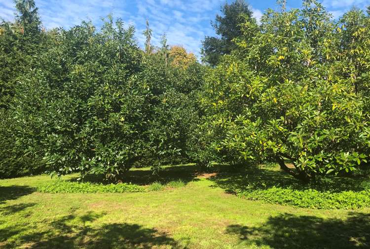 89c Merrick Road Pyes Pa_3