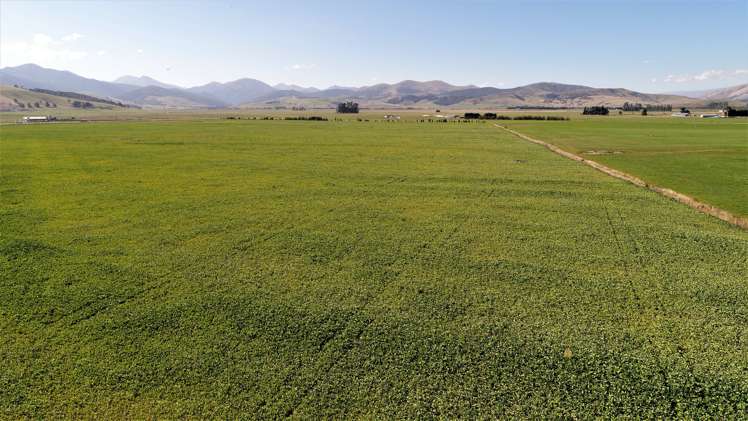 245 Selbie Road Lumsden Surrounds_5