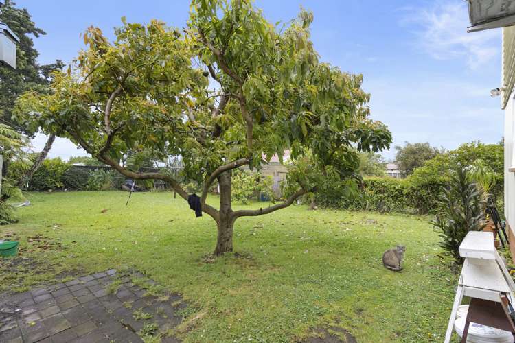 15 Carlyle Street Te Aroha_19