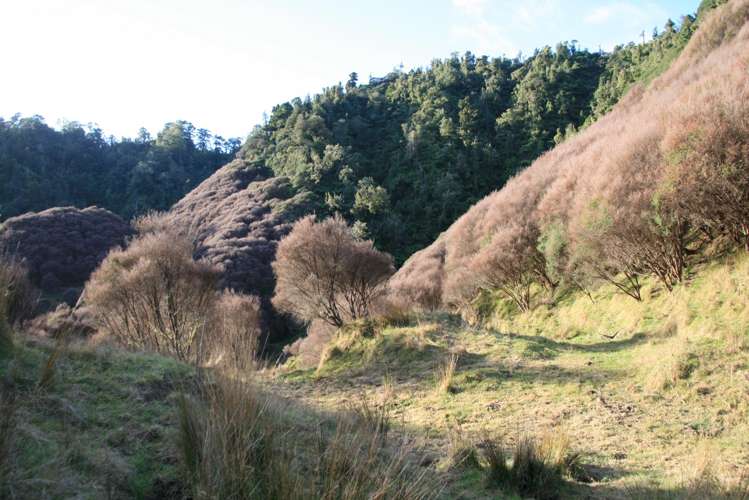 0n Mangaonga Road Ahititi_22