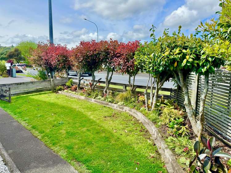 1/100 Domain Road Whakatane_13