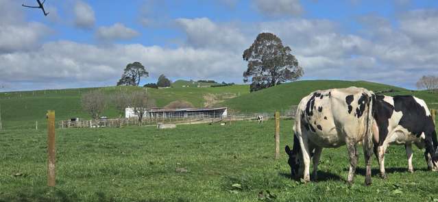 128 Waikaukau Road Ngakuru_3
