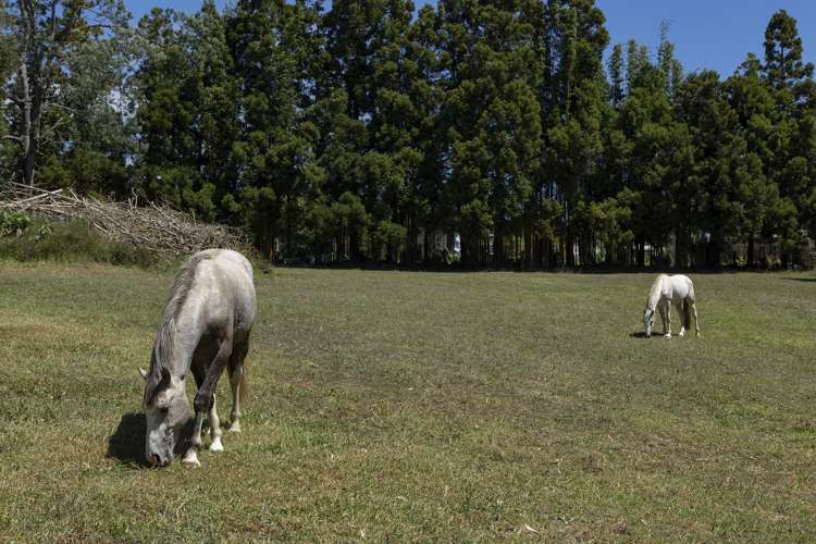 41 Te Ra Road Kaeo_16