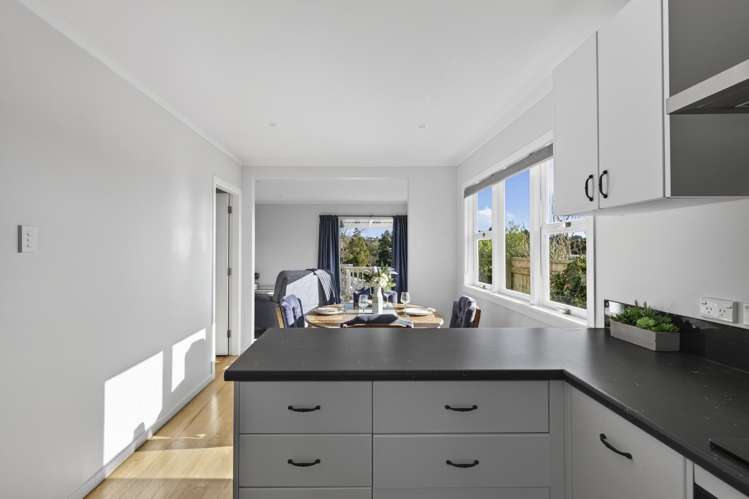 48 Essex Street Vogeltown_12