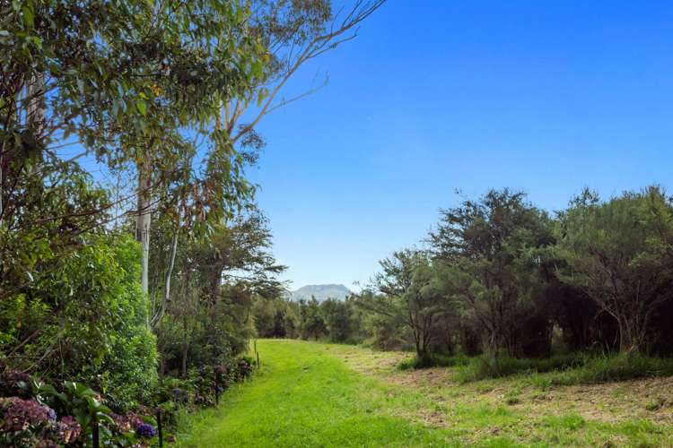 Pine Ridge Lane Aongatete_8