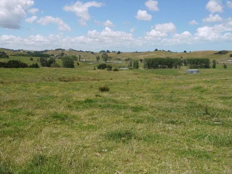 1004 Opanake Road Dargaville Surrounds_8