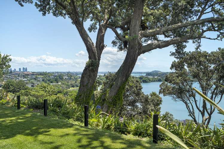 14 Martin Avenue Remuera_6