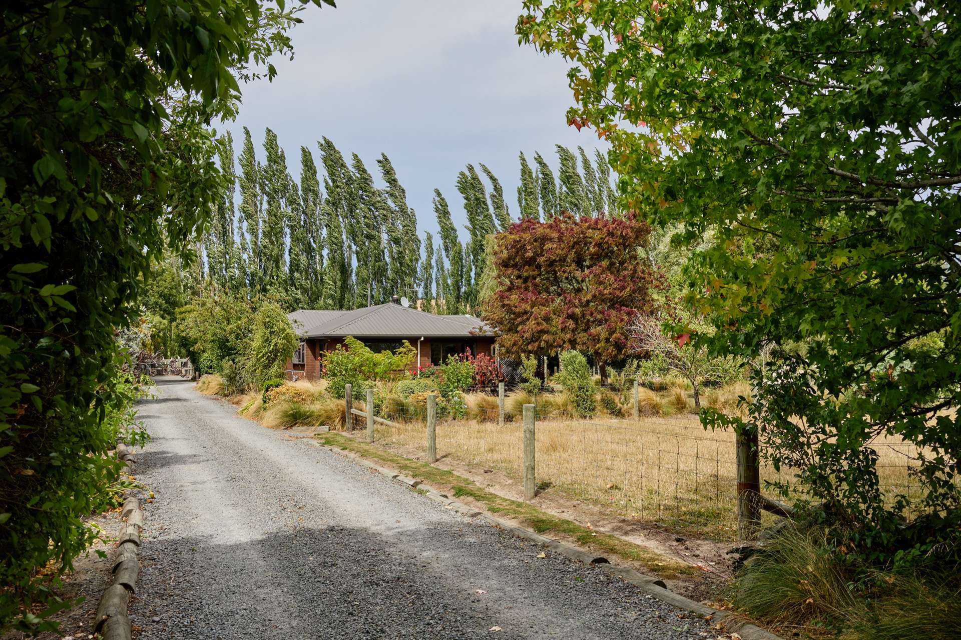 22 Reeves Street Cheviot_0