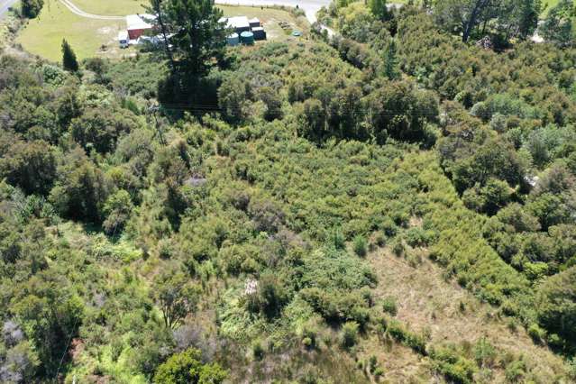 15 Onekaka Iron Works Road Kahurangi National Park_2