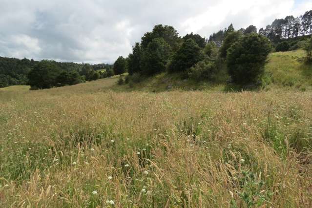 123 Te Ahu Ahu Road Ohaeawai_4