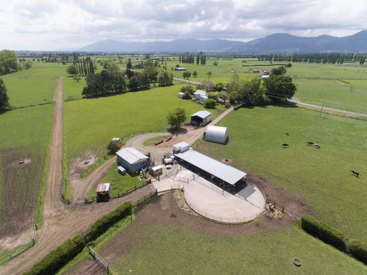 183 Waghorn Road Wardville_8