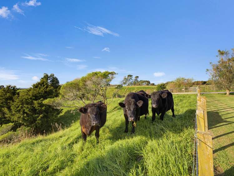 104b Awanuiarangi Road Pikowai_25