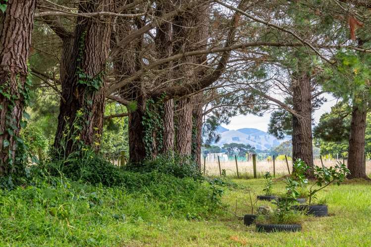 80 Johnston Street Featherston_9