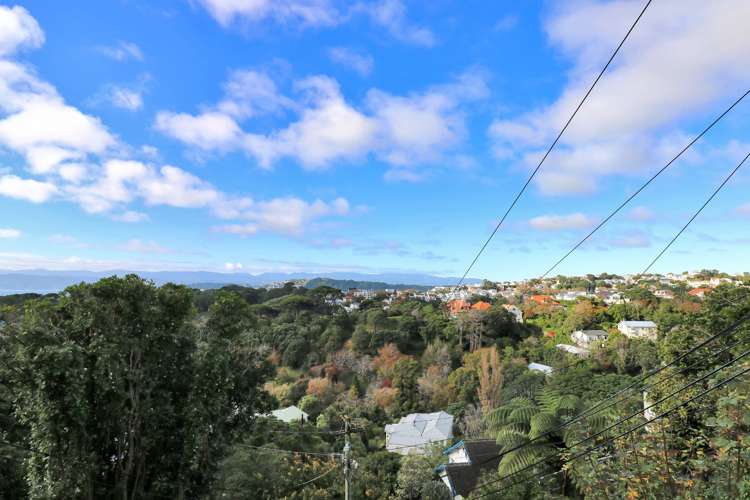 29 Garden Road Northland_8