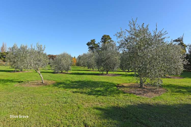 672c Te Whiti Road Te Whiti_13