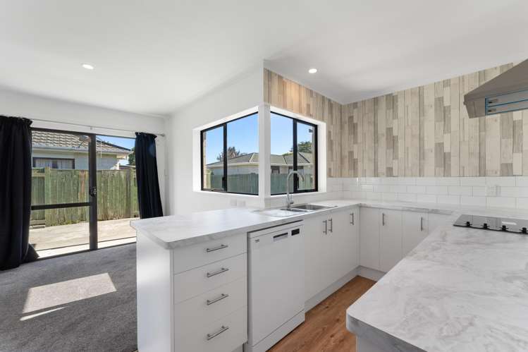 28a Freyberg Street Roslyn_8