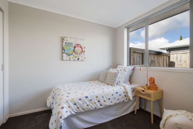 10a Park Road Katikati_9