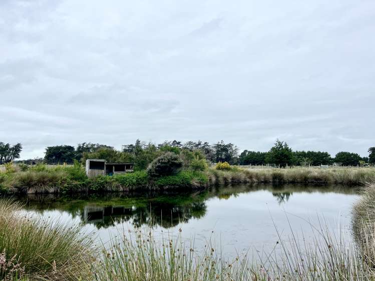 203 Curran Road Otatara_22