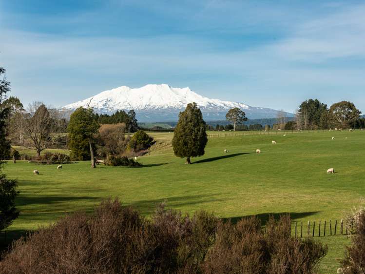 State Highway 4 Owhango_9