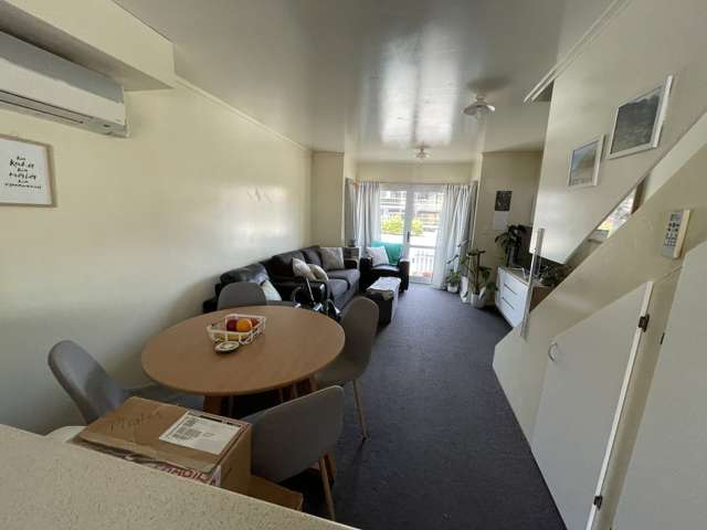 931 Cumberland Street North Dunedin_4