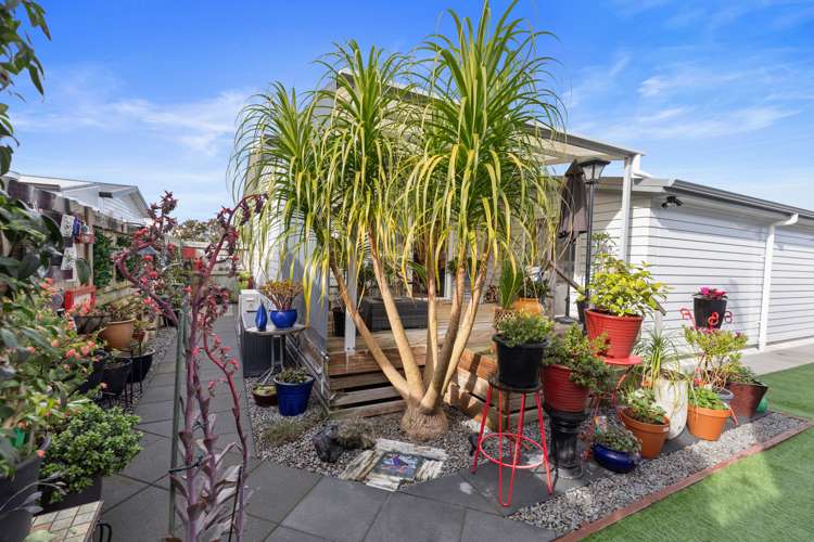 309/11 Kamahi Crescent Papamoa_15
