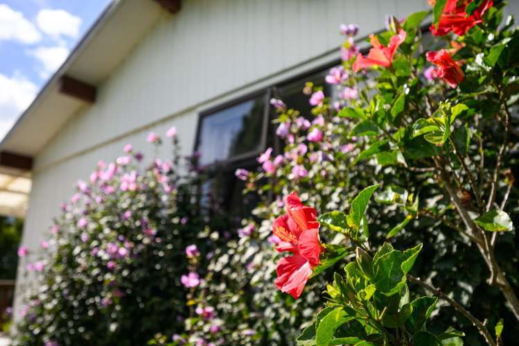 1528 State Highway 14 Maungatapere_25