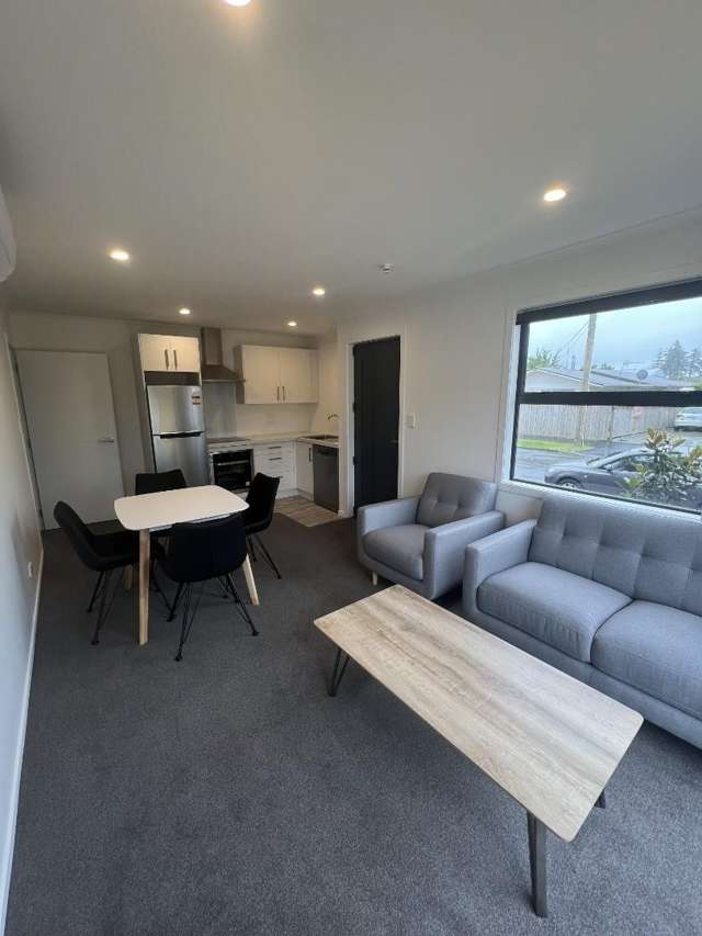  1/54 Pembroke Street Hamilton East_1