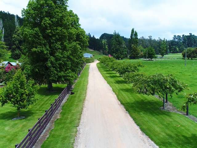 1471 Georgetown-Pukeuri Road Awamoko_3