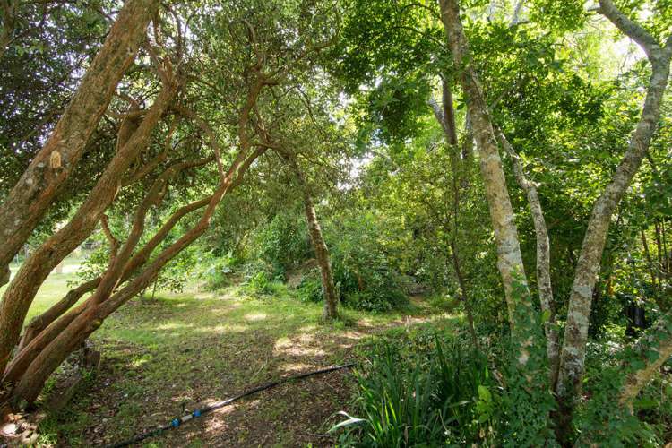 5 Greenhill Road Ngatimoti_24