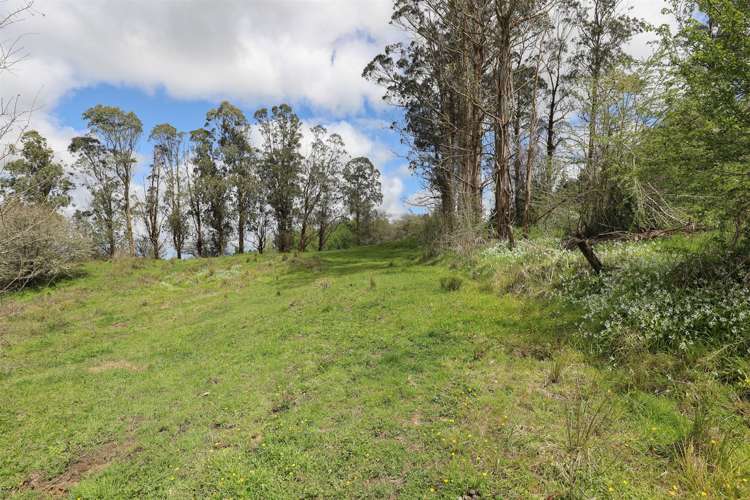 Glen Murray Road Rangiriri_23