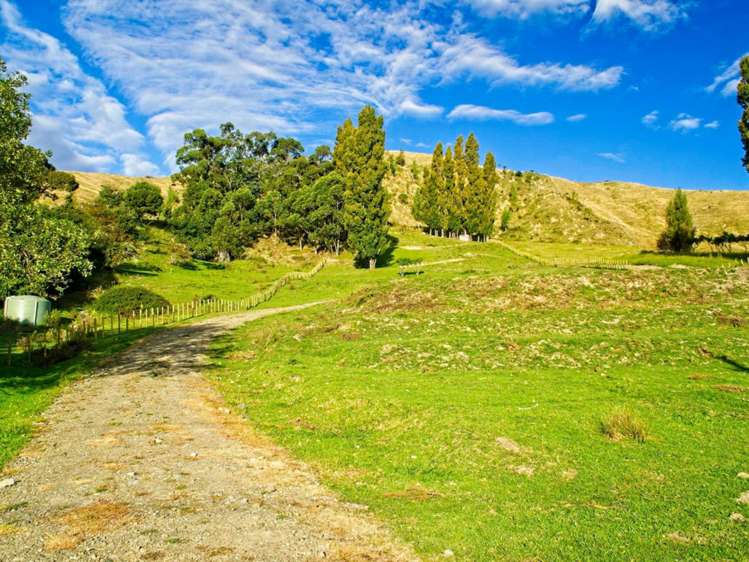 109 Darwin Road Outer Kaiti_6