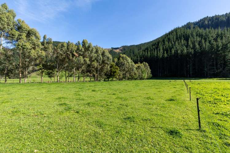 208 Mount Riley Road Okaramio_6