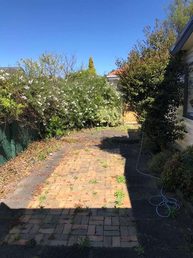 22 Pearsons Avenue Claudelands_19