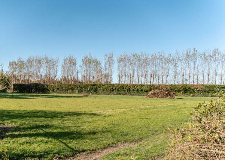 250 Upper Manaia Road Upper Plain_17