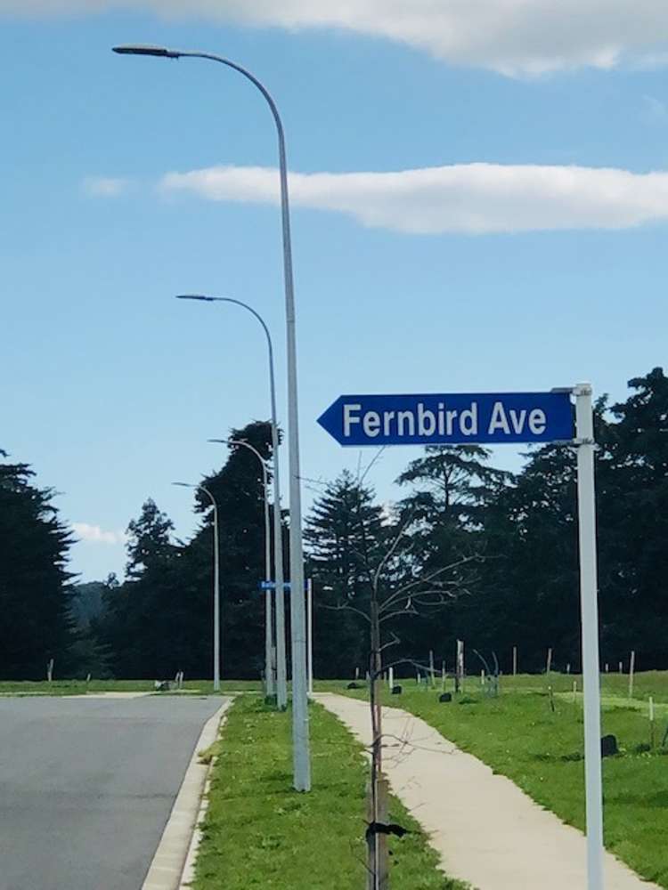 Swan Road Te Kauwhata_6