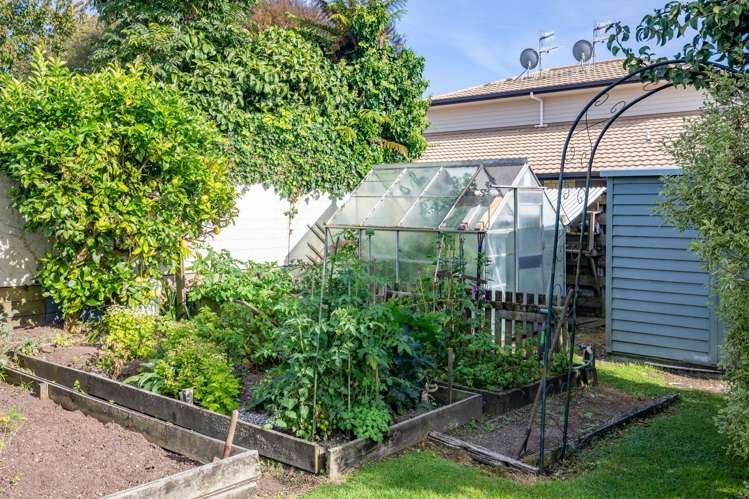 60 Kawaha Point Road Kawaha Point_26