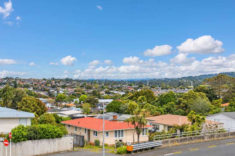 42A Tiverton Road Avondale_20