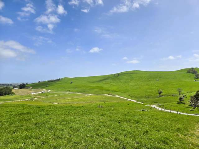 3050 Mititai Road Dargaville_4