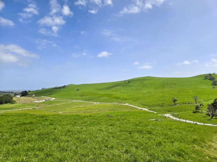 3050 Mititai Road Dargaville_4