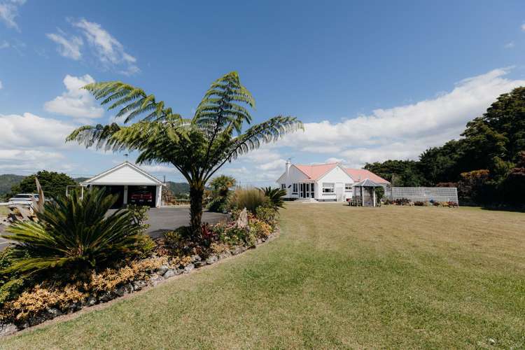 48 Bedlington Street Whau Valley_1