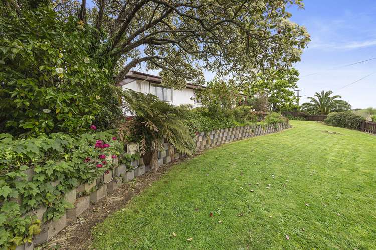 41 Prospect Avenue Tirau_27