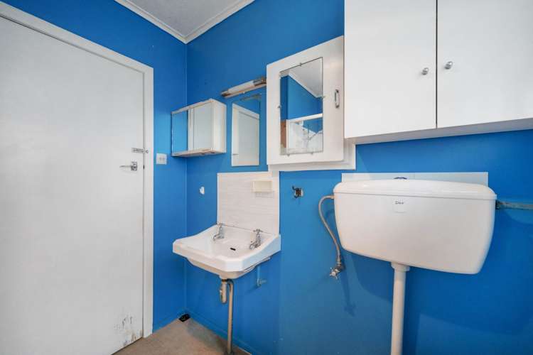 31 Cowan Street Ponsonby_8