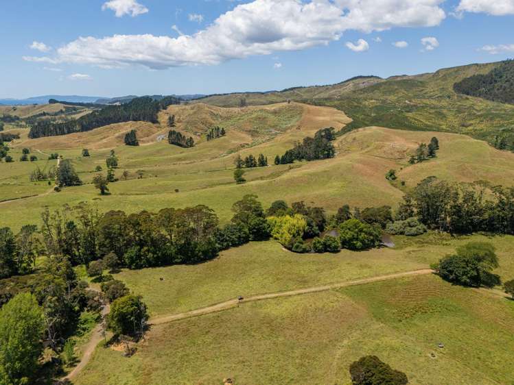 106 State Highway 25 Otapaurau_10