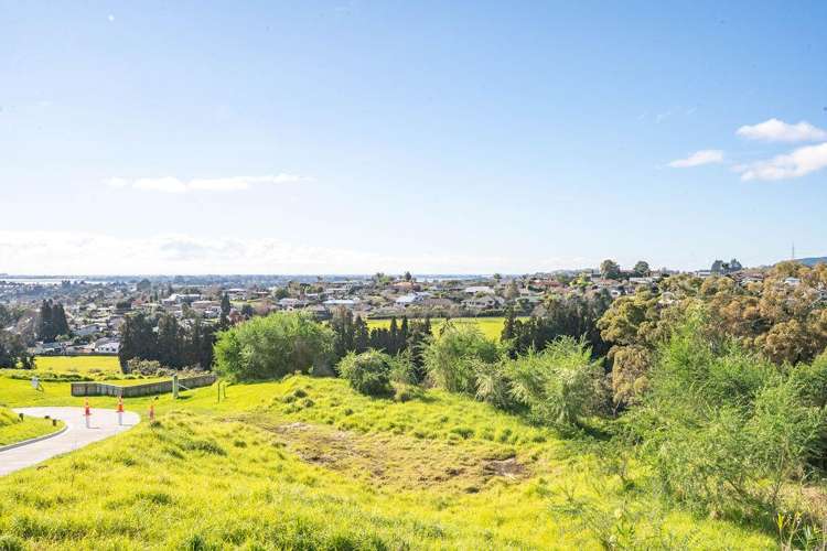 99 Carmen Way Ohauiti_10