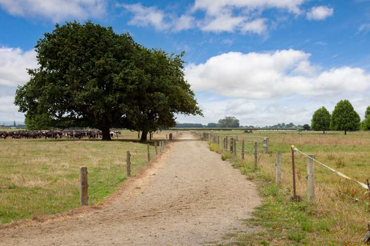 148 Troughton Road Matamata_11
