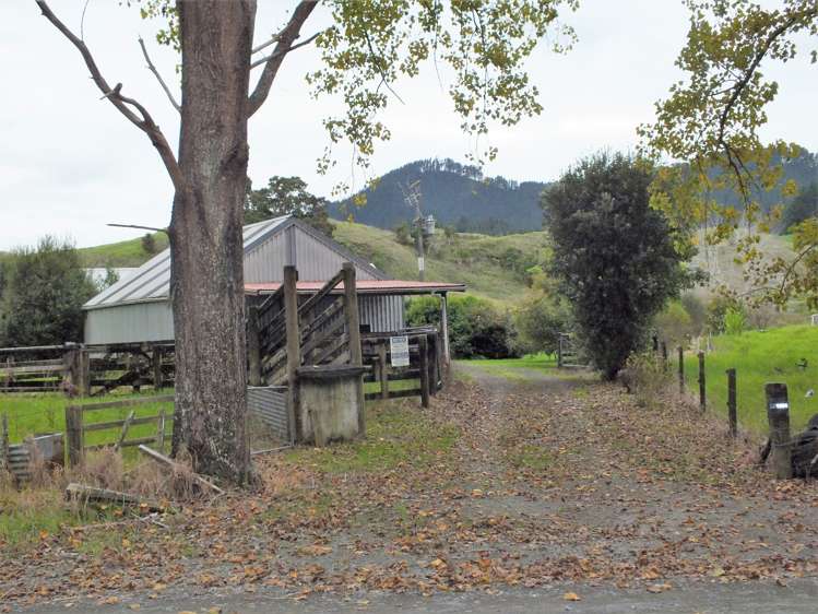 1884 Tangowahine Valley Road Dargaville Surrounds_16